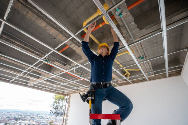 Best Commercial Plumbing Services  in Greensburg, KY